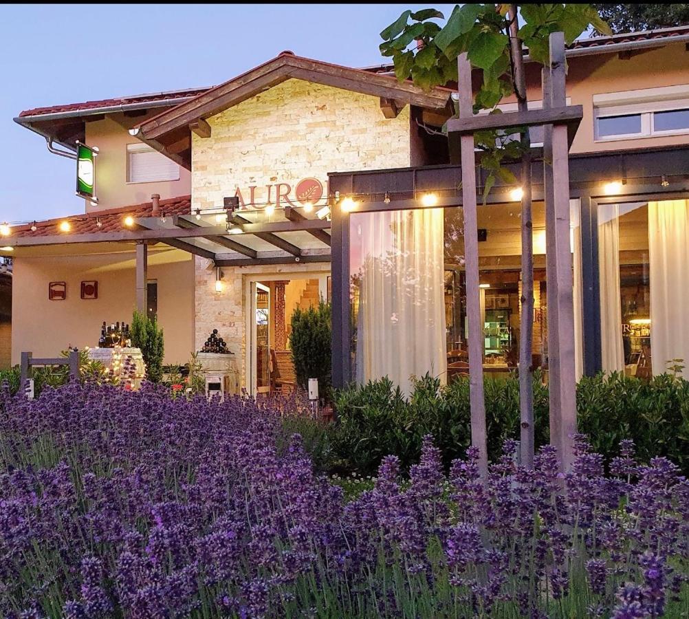 Aurora Panzio Bed & Breakfast บุค ภายนอก รูปภาพ