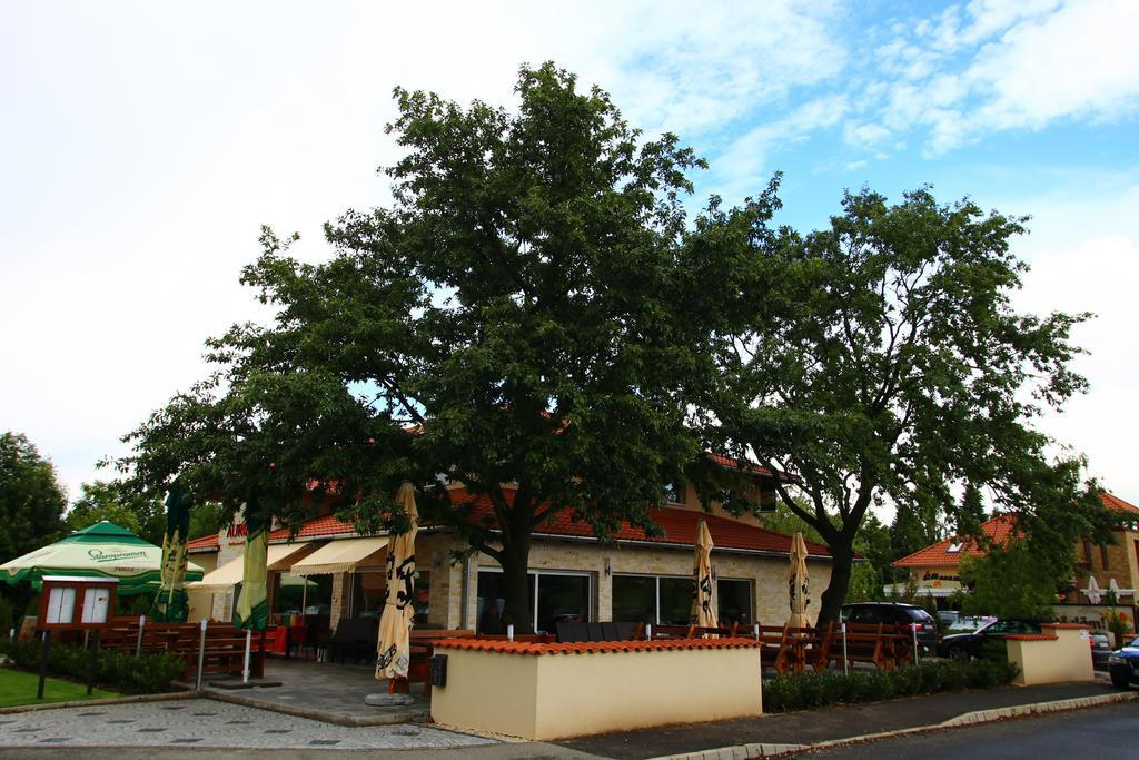 Aurora Panzio Bed & Breakfast บุค ภายนอก รูปภาพ